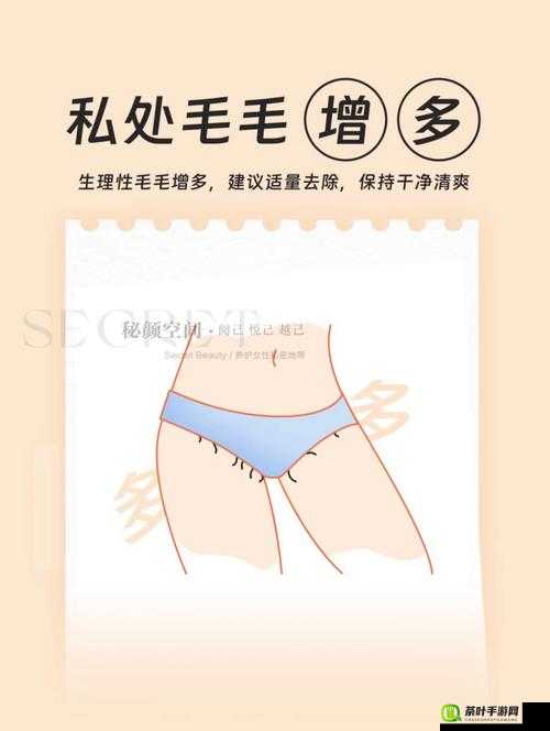 女性三角毛毛区很高正常吗：正常现象还是健康问题？