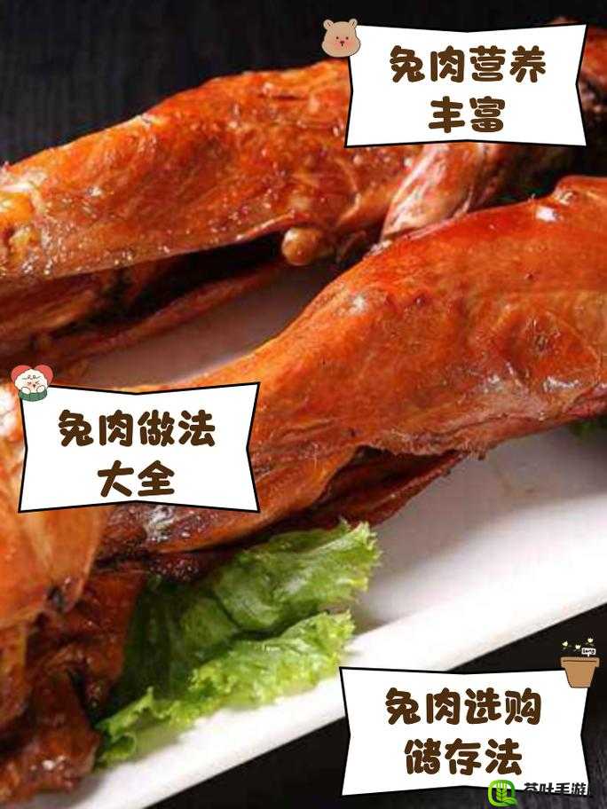 老公每天晚上吃小兔兔对身体好吗：探讨兔肉食用的营养价值与健康影响